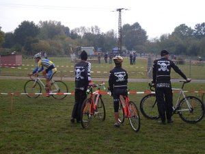 Dassow Cross-Cup 29